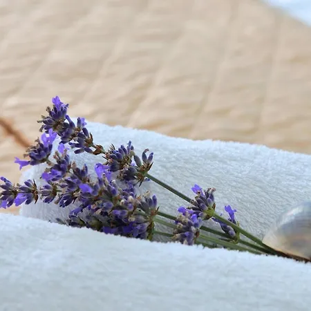 House Martina Vela Luka