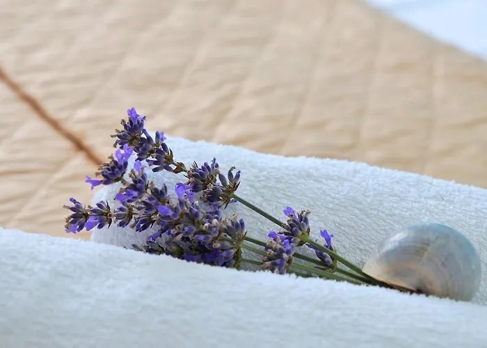 House Martina Vela Luka